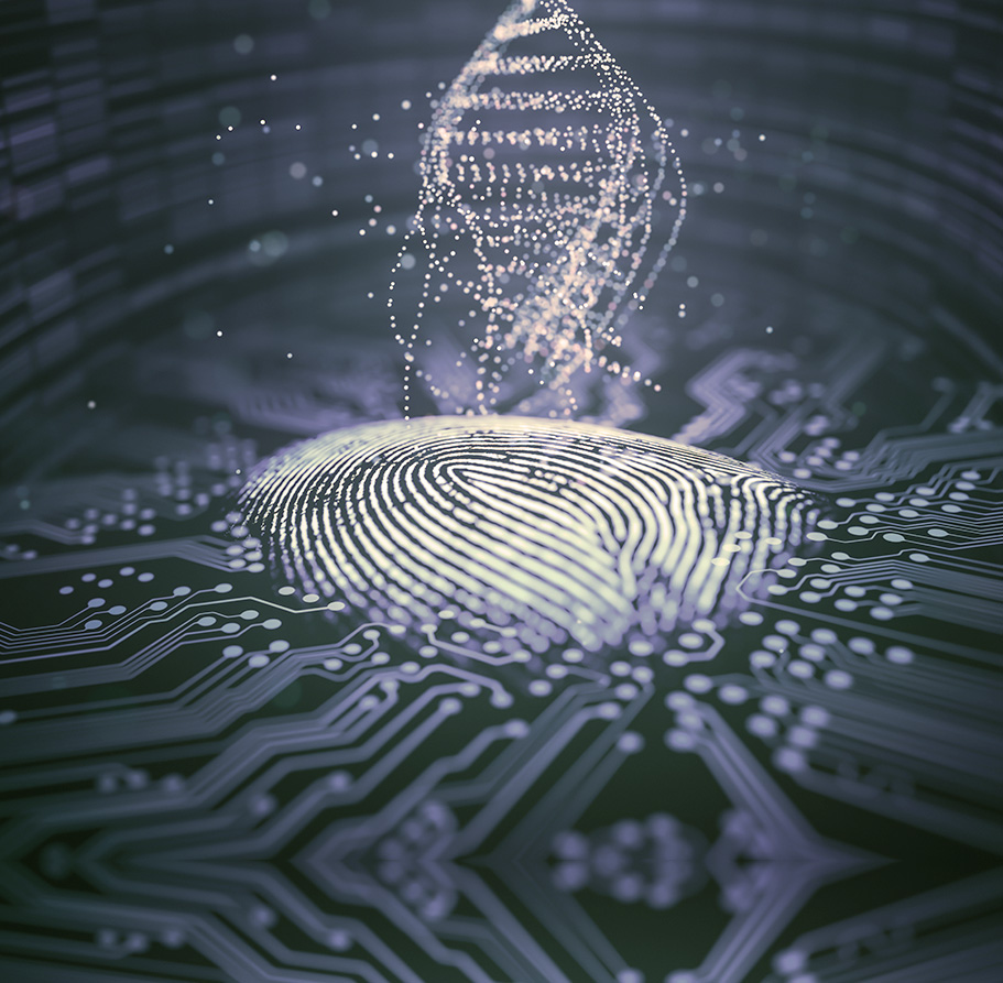 개인 건강관리 맞춤 데이터를 의미하는 지문